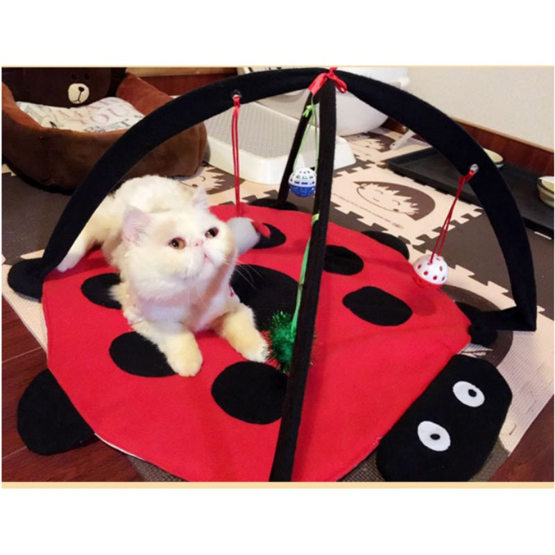 Indoor-Outdoor, Cat Hammock Bed and Toys, Play House For Your Cat.