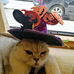 Cat's Halloween Costumes & Halloween Accessories For Your Cat!