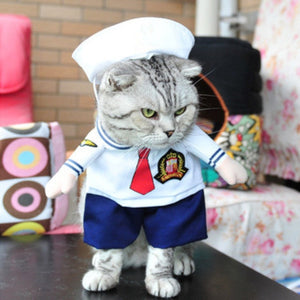 Cat Costume For Halloween!